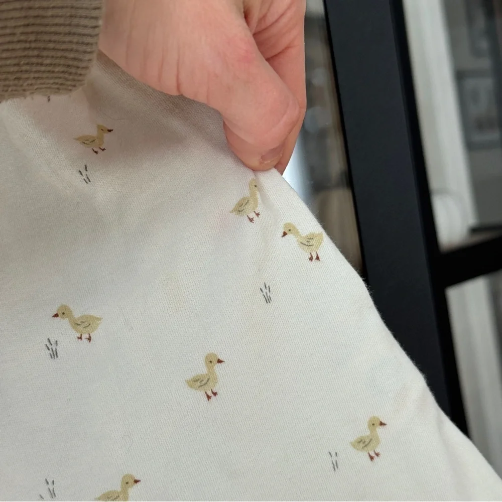 Quincy Mae Flutter dress ducks print lace baby girl beige neutral chicks ruffle
